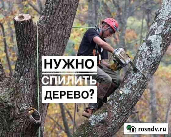 Спил деревьев любой сложности Северская