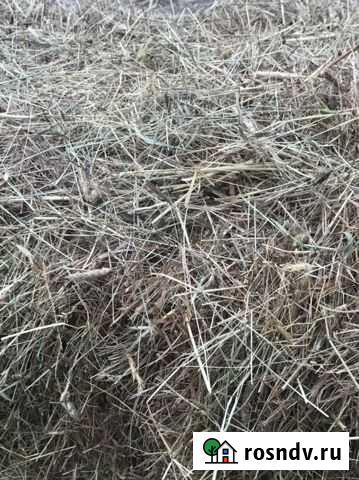 Сено в кипах Ульяновка - изображение 1