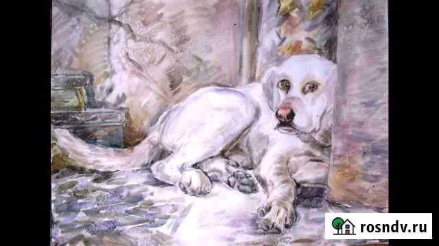 Ласка портрет Череповец - изображение 1