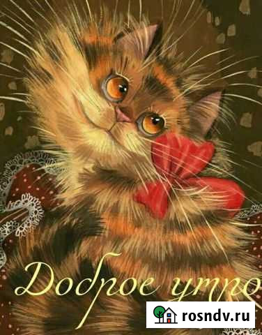 Поросята 2.5 месячные, кушают все Богашево - изображение 1