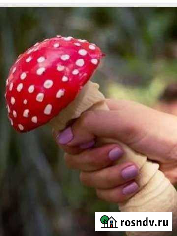 Игрушка мягкая Ульяновск - изображение 1