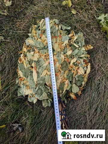 Веники в ассортименте Кемерово - изображение 1