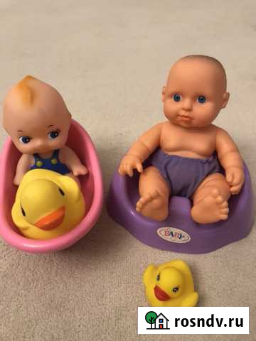 Пупсики Красноярск - изображение 1