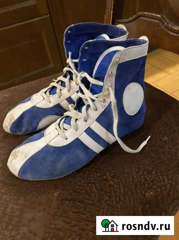 Самбовки борцовки Ярославль - изображение 1