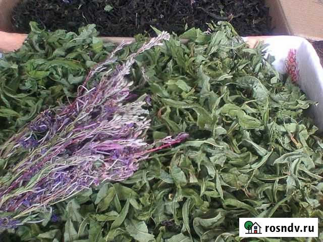 Иван-чай,ромашка,зверобой для поднятия иммунитета Донской - изображение 1