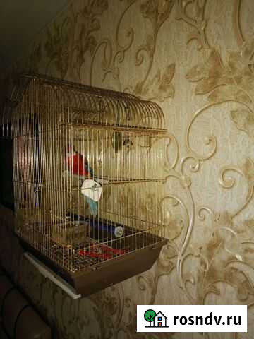Клетки для попугаев бу Муром - изображение 1