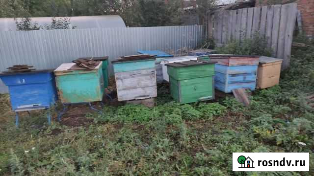 Улья для пчёл Большая Атня - изображение 1