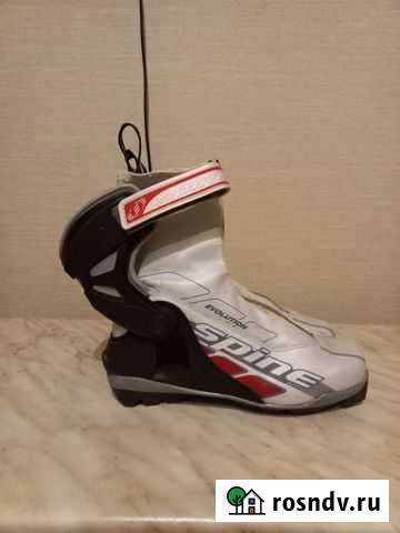 Лыжные ботинки spine 39 размер Смоленск - изображение 1