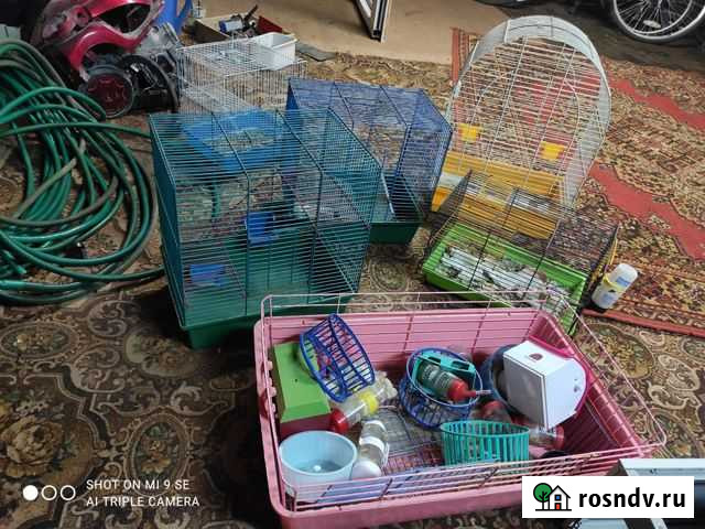 Клетка для грызунов Нерехта - изображение 1