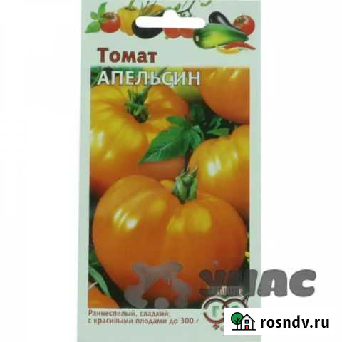 Семена Томат апельсин Энгельс - изображение 1