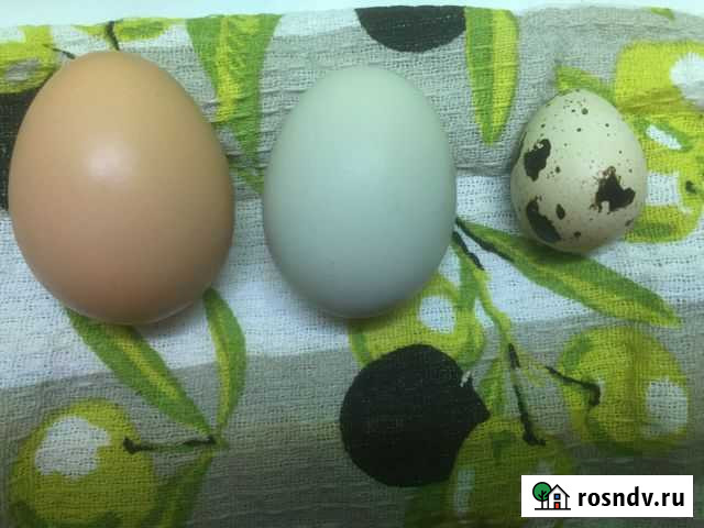 Губкинский. 629830 Губкинский - изображение 1