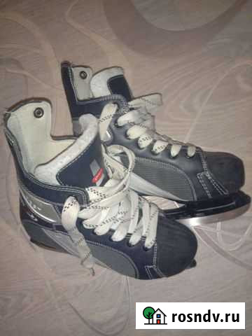 Коньки Новосибирск - изображение 1