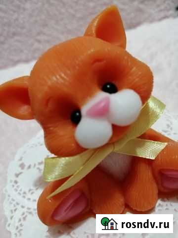 Котёнок Протвино - изображение 1