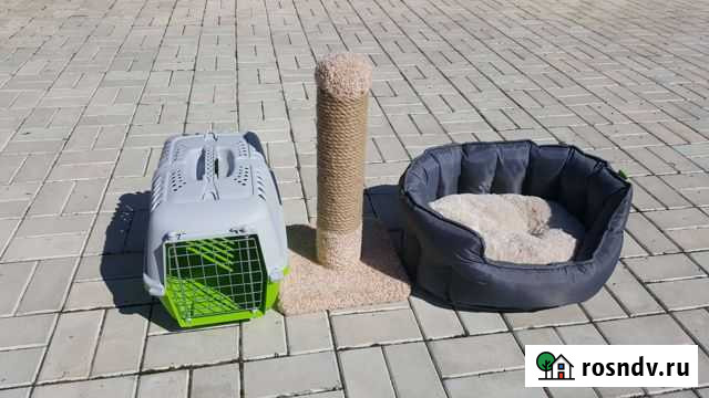 Лежак для кошки, переноска, когтеточка Альметьевск - изображение 1