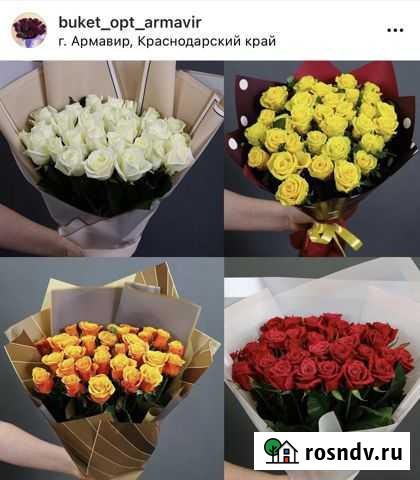 Розы Армавир - изображение 1
