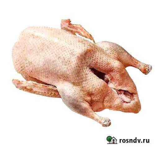 Мясо птицы Калуга