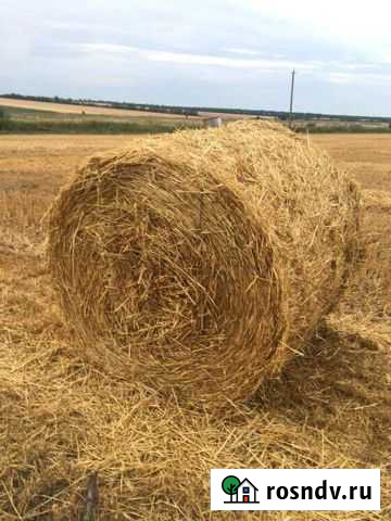 Солома Жуков - изображение 1