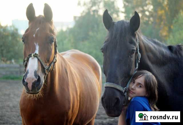 Сертификаты Екатеринбург - изображение 1