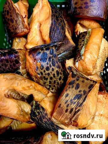 Зубатка, окунь морской Х/К и Г/К из Мурманска Киров - изображение 1