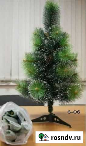 Сосна новогодняя Кострома - изображение 1