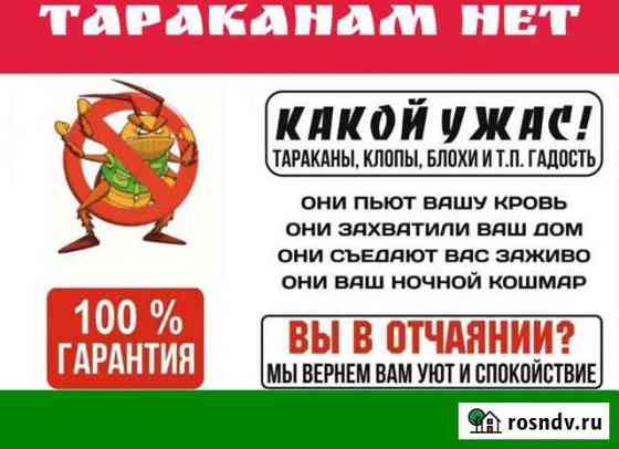 Уничтожение насекомых Братск