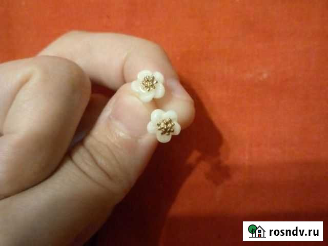 Серьги гвоздики Норильск - изображение 1