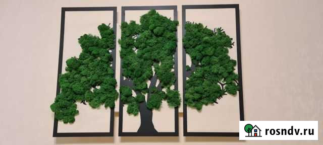 Настенное панно из стабилизированного мха Ростов-на-Дону - изображение 1