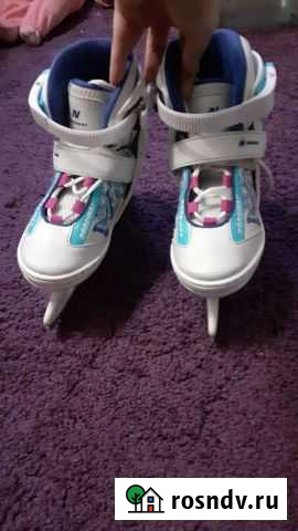 Коньки Саранск - изображение 1