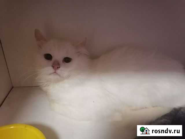 Мальчики ищут дом Рязань - изображение 1