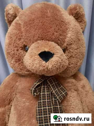 Плюшевый медведь Великий Новгород - изображение 1