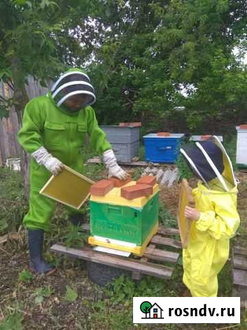 Мёд Ульяновск - изображение 1