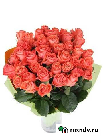 Цветы Розы оранжевые WoW 33 шт Доставка Краснодар - изображение 1