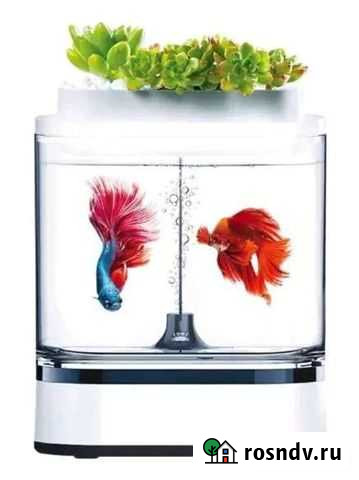 Акваферма xiaomi аквариум Мурманск - изображение 1