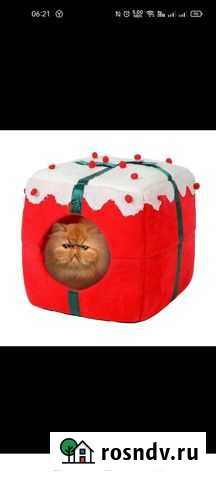 Домик для кошки Йошкар-Ола - изображение 1