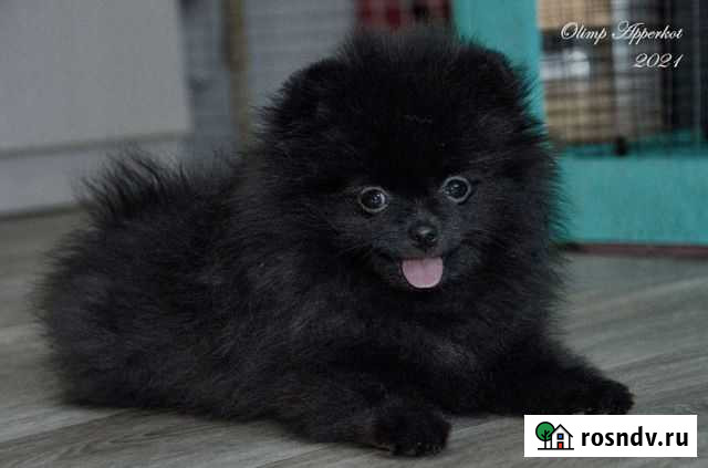 Девочка-уголёк Рязань - изображение 1