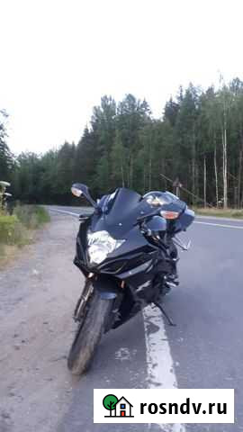 Джиксер литровый Пикалево - изображение 1