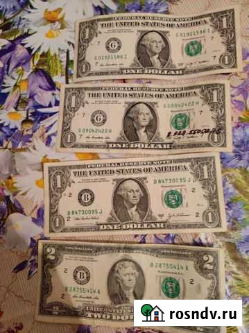 Доллар Кизляр - изображение 1