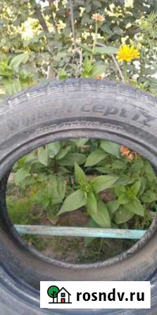 Hankook 205/55 R16 91 Солянка - изображение 1