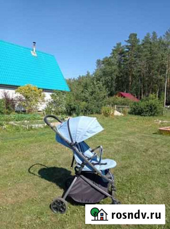 Коляска Петрозаводск - изображение 1