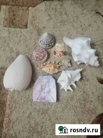 Ракушки и камушки для аквариума Тюмень - изображение 1