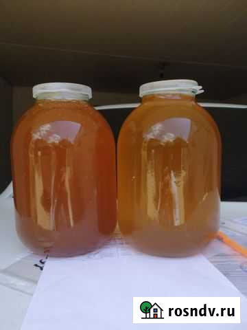 Мёд майский Черкесск - изображение 1