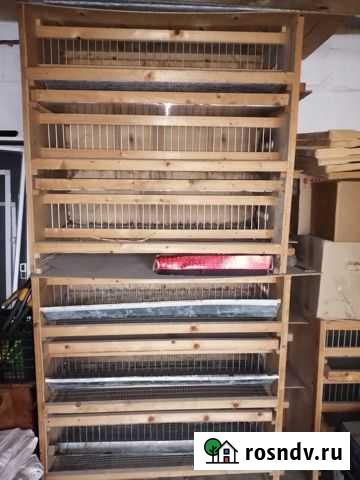 Клетки для перепелов бу Нижний Ломов - изображение 1