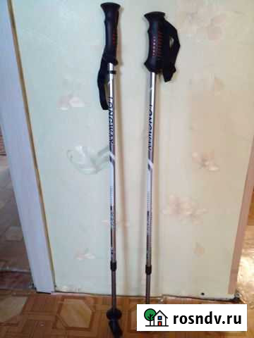 Палки для скандинавской ходьбы Кольчугино - изображение 1