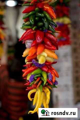 Острые и пикантные перцы.Более 100 сортов Воронеж - изображение 1