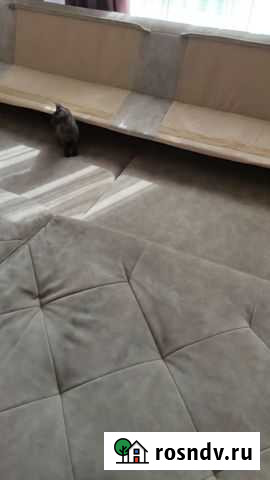 Химчистка диванов Москва - изображение 1