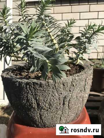 Горшки для цветов кашпо гипертуф Краснодар - изображение 1