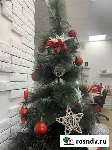 Елка на Новый год Калининград - изображение 1