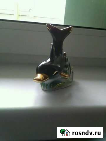 Дельфин Чебоксары - изображение 1