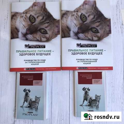 Книга по уходу за кошками, ветеринарный паспорт Омск - изображение 1