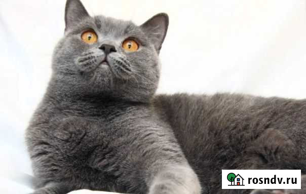 Вязка Туапсе - изображение 1